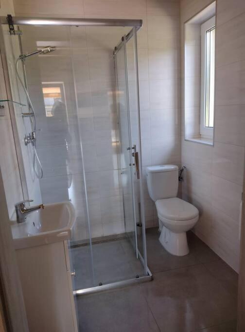 Apartamenty - Domek Bobrowe Zacisze 3 Janowice Wielkie Exterior photo